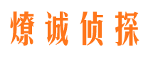 尼勒克私家侦探